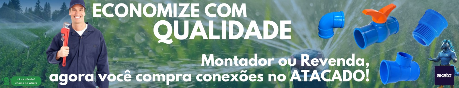 imagem_2026-08-12_153824893